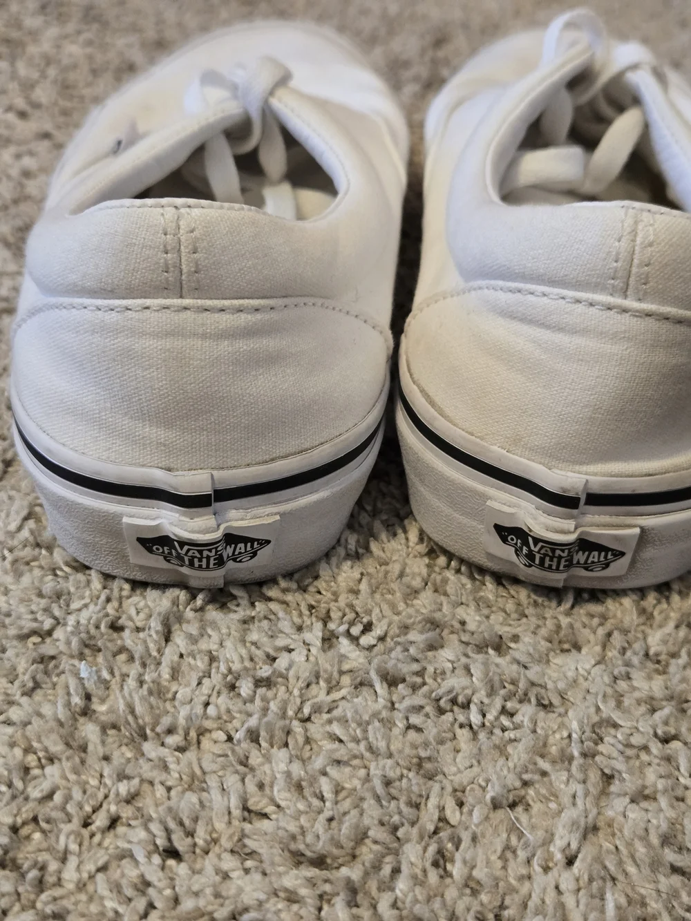 Vans classic low